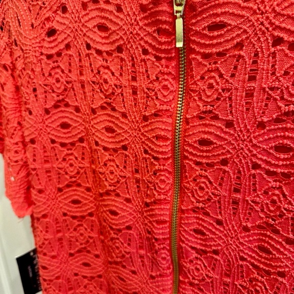 NWT Stretch Lace Dress - Picture 8 of 9